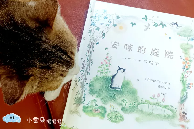 跟著安咪一起在小小庭院裡閱覽四季～