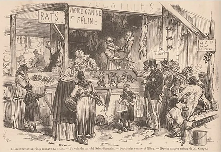 圍城期間巴黎的食品供應。「聖日耳曼市場」一角。「犬貓」屠宰場，《世界報》，1871年2月4日。