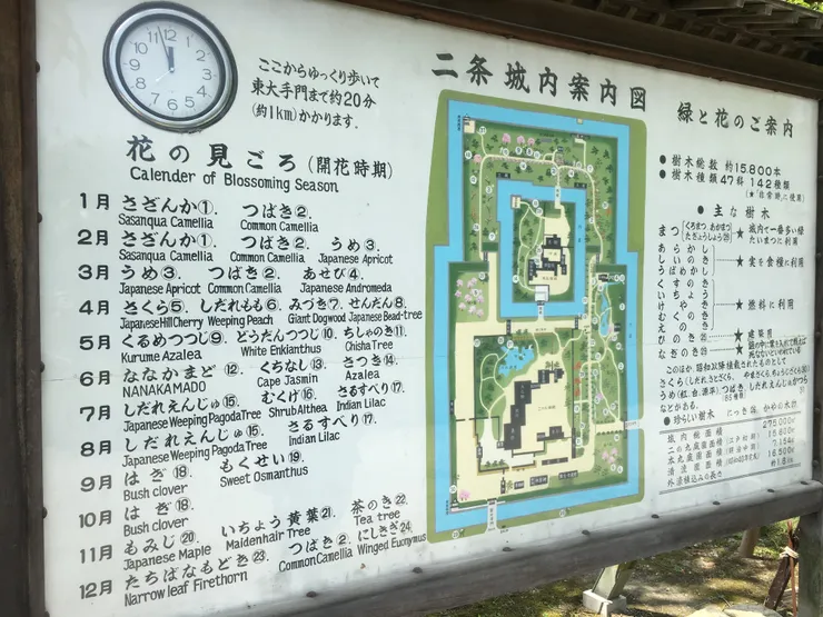 二条城 花期一覽地圖