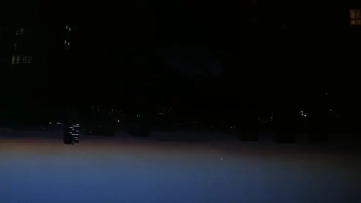 《雙面薇若妮卡》