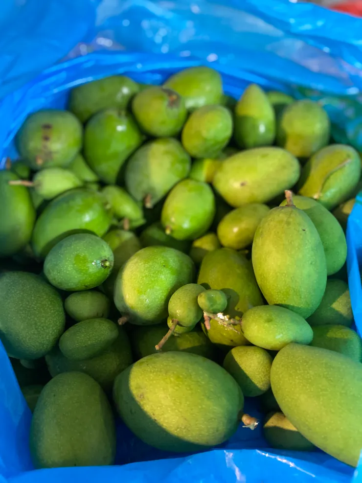滿滿的芒果青