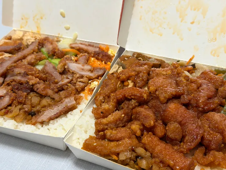 酥炸肉飯&糖醋排骨飯_大山排骨飯