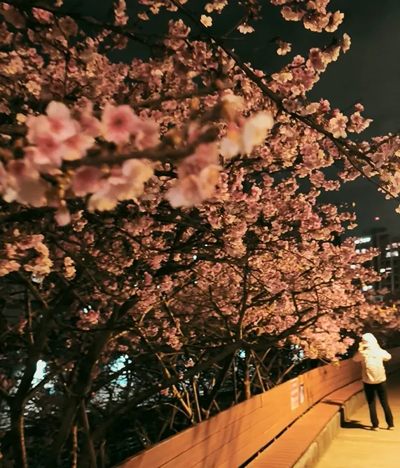 熄燈後的樂活公園別有意番風味❤️