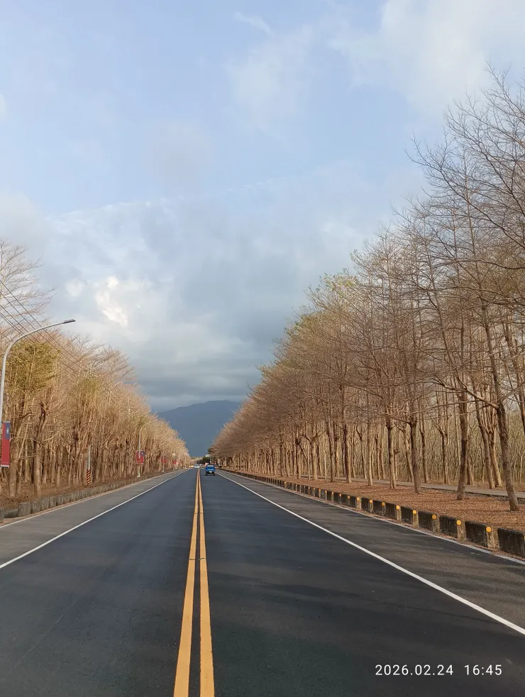 無邊落木，直路旅孤