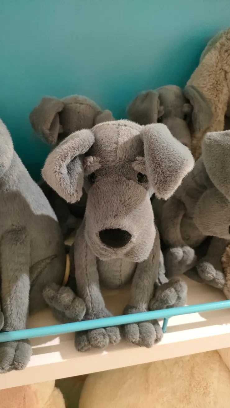 單身狗娃娃（？）他的氣氛不禁讓人悲從中來