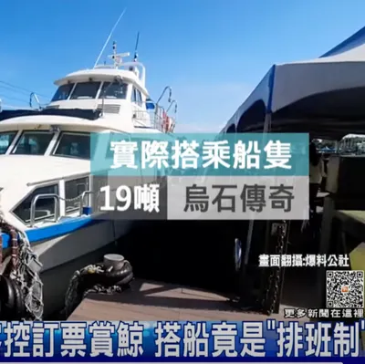 訂心酸? 客控訂票賞鯨 搭船竟是「排班制」