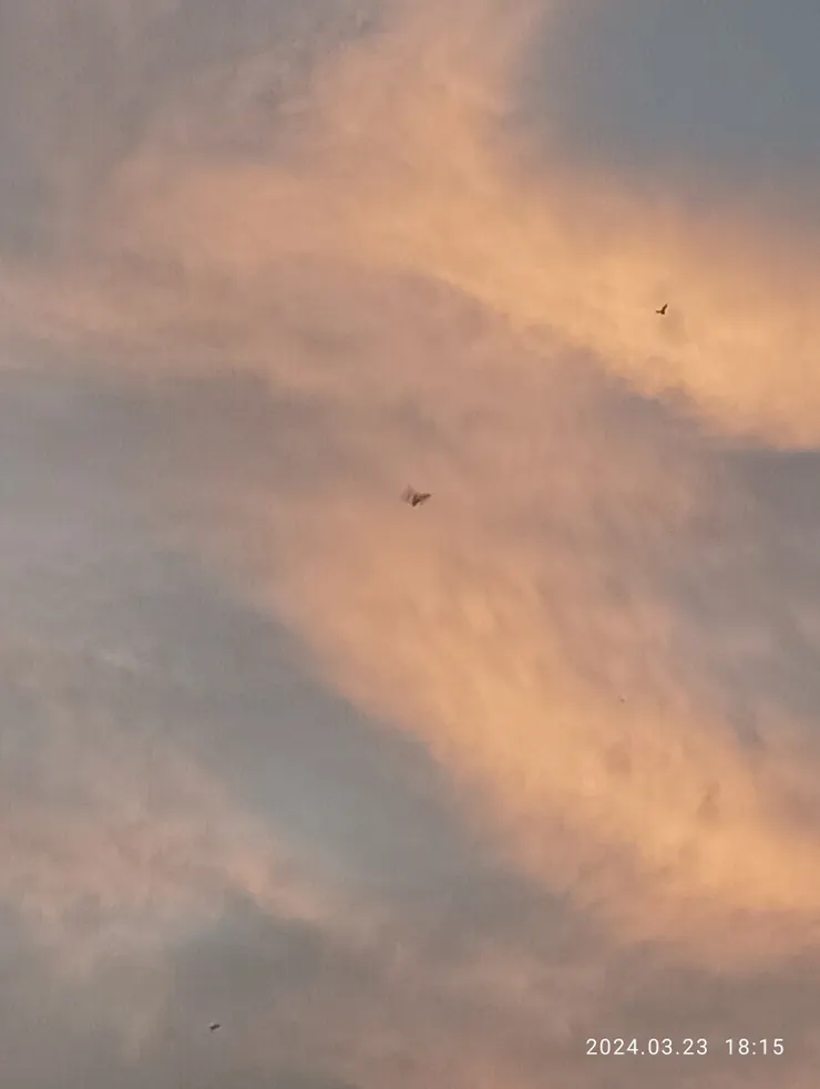 武洛溪的向晚，自拍