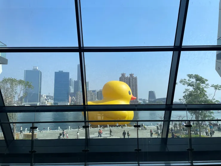 從高流內往外拍攝的鴨鴨