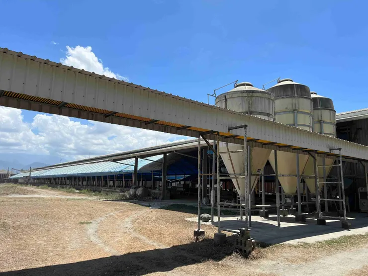 圖說：臺南蛋品合作牧場透過密閉式水簾與高床設計達成物理性隔離，強化生物安全管理，降低環境病原侵擾。（資料來源：臺南蛋品）