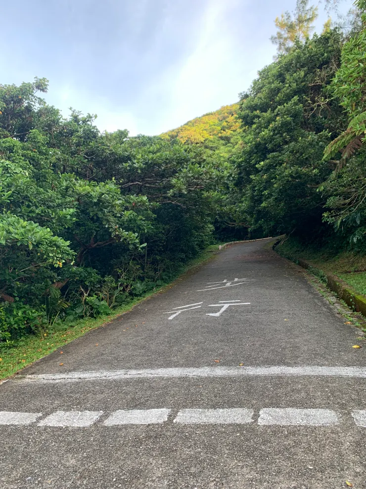 由於一大清早過於昏暗，這是在回程路上拍的叉路口，明顯地畫出一條線並告知步行