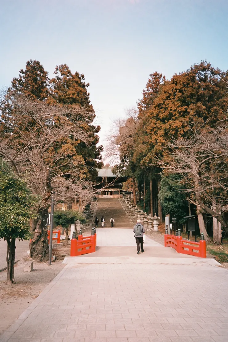 Nikon AF600 - RETO Maple100