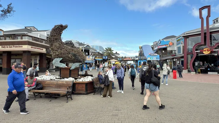 39號碼頭海獅意象