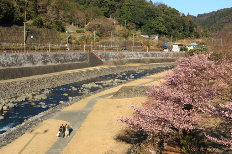 箱根湯本遊歩道