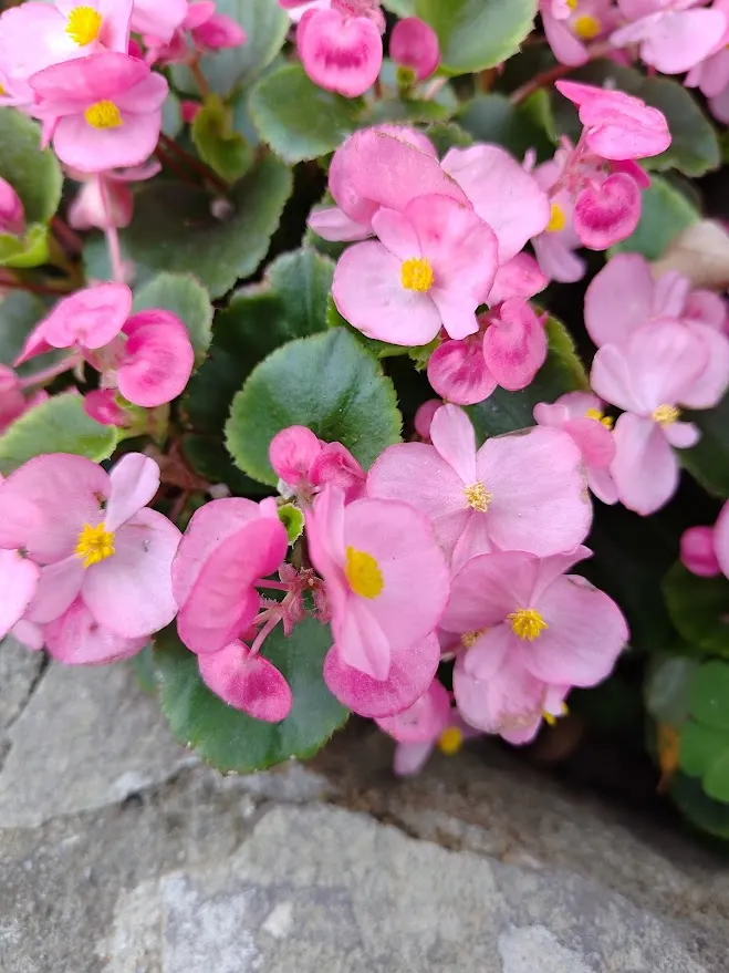 Josie真^^隨筆手札