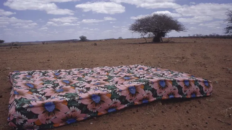 I Travel Because I Have To, I Come Back Because I Love You, 2009