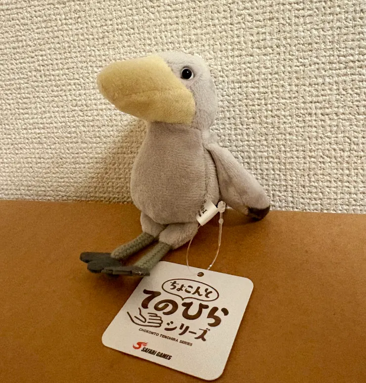 神戶動物王國的明星動物:鯨頭鸛