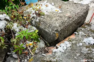 橋頭似乎有橋名牌存在