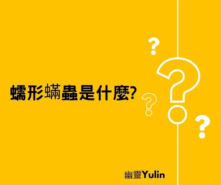 蠕形螨蟲是什麼？我臉上有嗎？