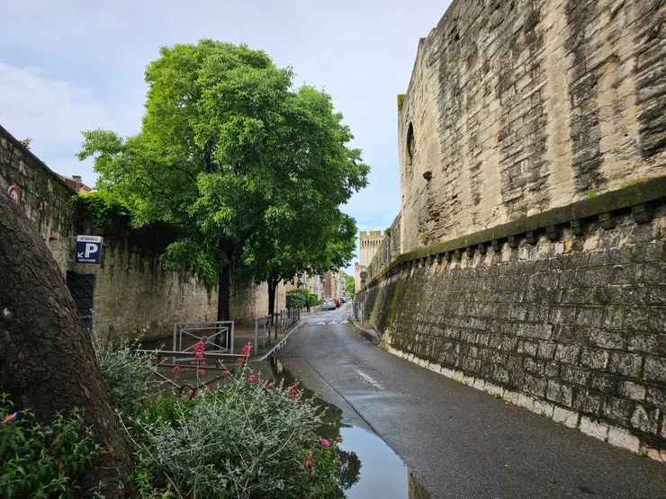 民宿出門後的亞維儂城牆