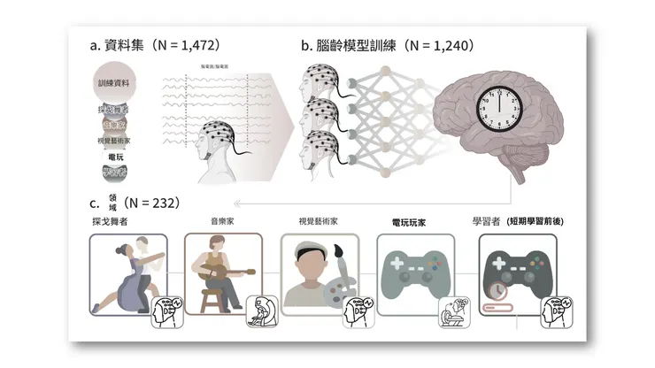 資料特性化 Coronel-Oliveros 等人(2025) 圖1 