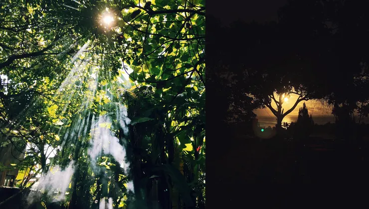 《 空 譜 》#69｜Reset & Being：心靈族譜——存在土星工作坊