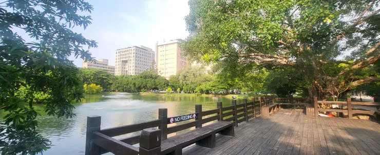 中興湖(李建崑攝影)