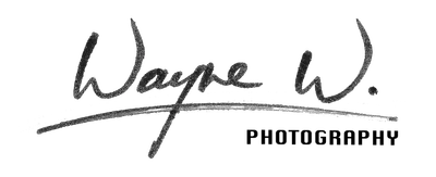 Wayne W. 韋恩的沙龍