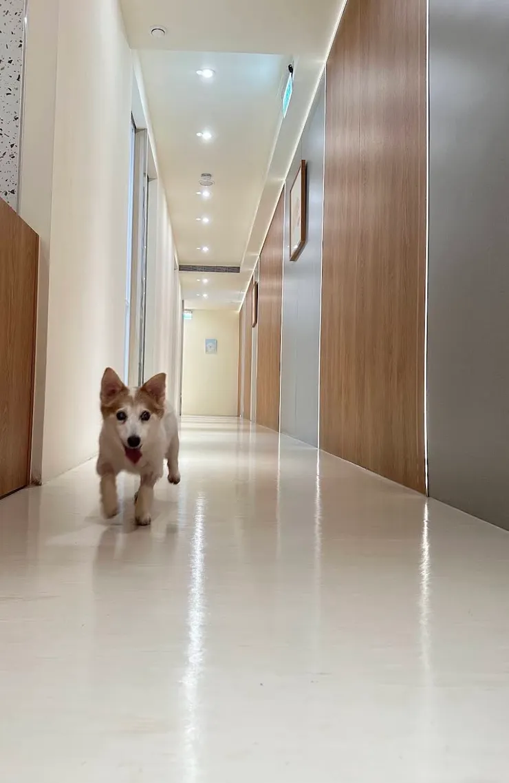 精神百倍、開心的Lafite