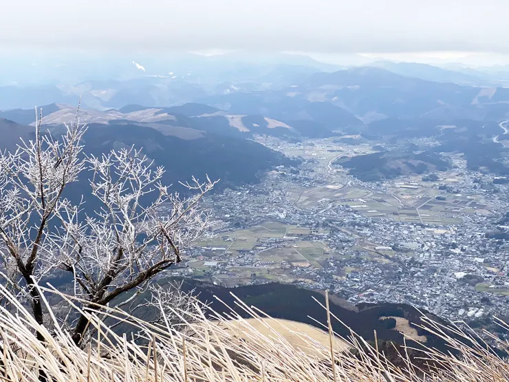 日本大分-由布岳 || 在路上還問了一位準備下山的老爺爺，是否看的到雪~？ 獲得了他親切的回覆。 「雪はありますか？」 『ありますよ！」