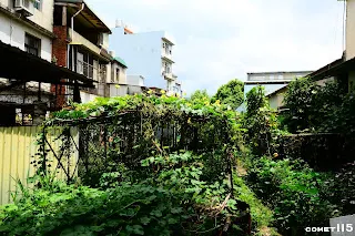 路廊被改為菜園(往竹東方向拍)