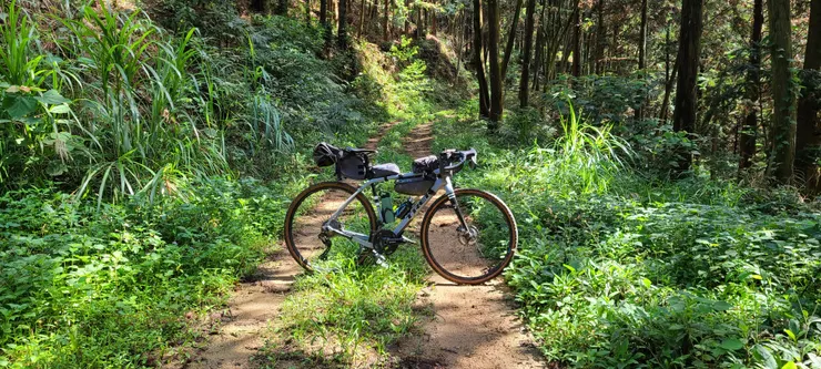 PRO Discover市售款