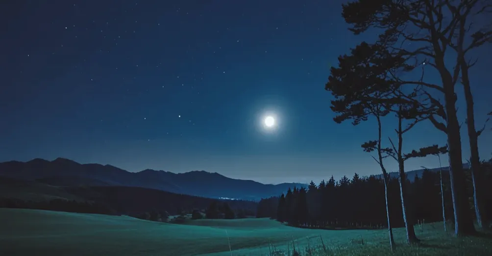 Joe的懷舊小空間