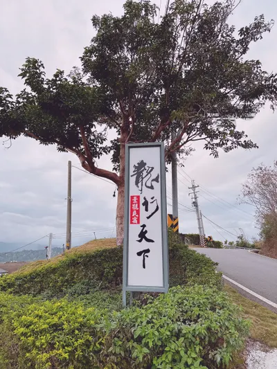 花東之旅/舒壓放鬆的好去處