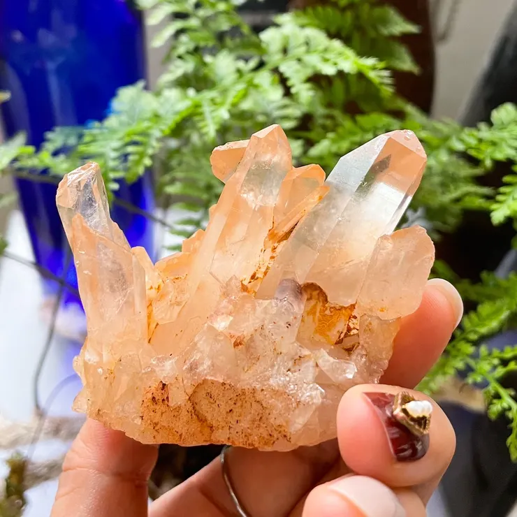 當時拍攝的水晶簇，背景即時冰箱上的小空間，有我種植的兔腳蕨、用來喝水的藍色玻璃瓶