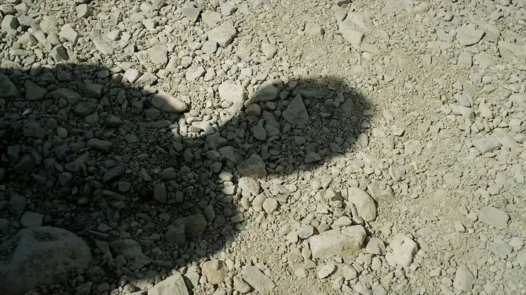 22.《慶州》（경주，2014）🇰🇷