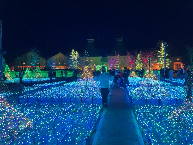 這一區有點像是花園