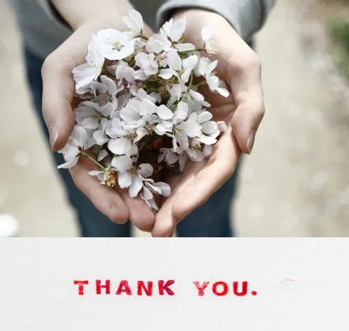 帖前 5:16-17 要常常喜樂，不住禱告，凡事謝恩。