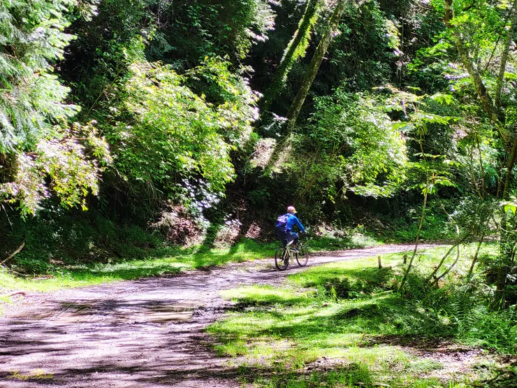 大部分林道平緩好走，但雨後路面泥濘，要小心騎行。