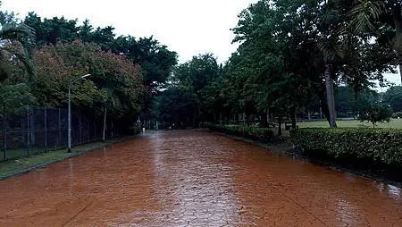 [新北旅遊]從省民公園到樹林體育園區，新北市最大面積體育園區