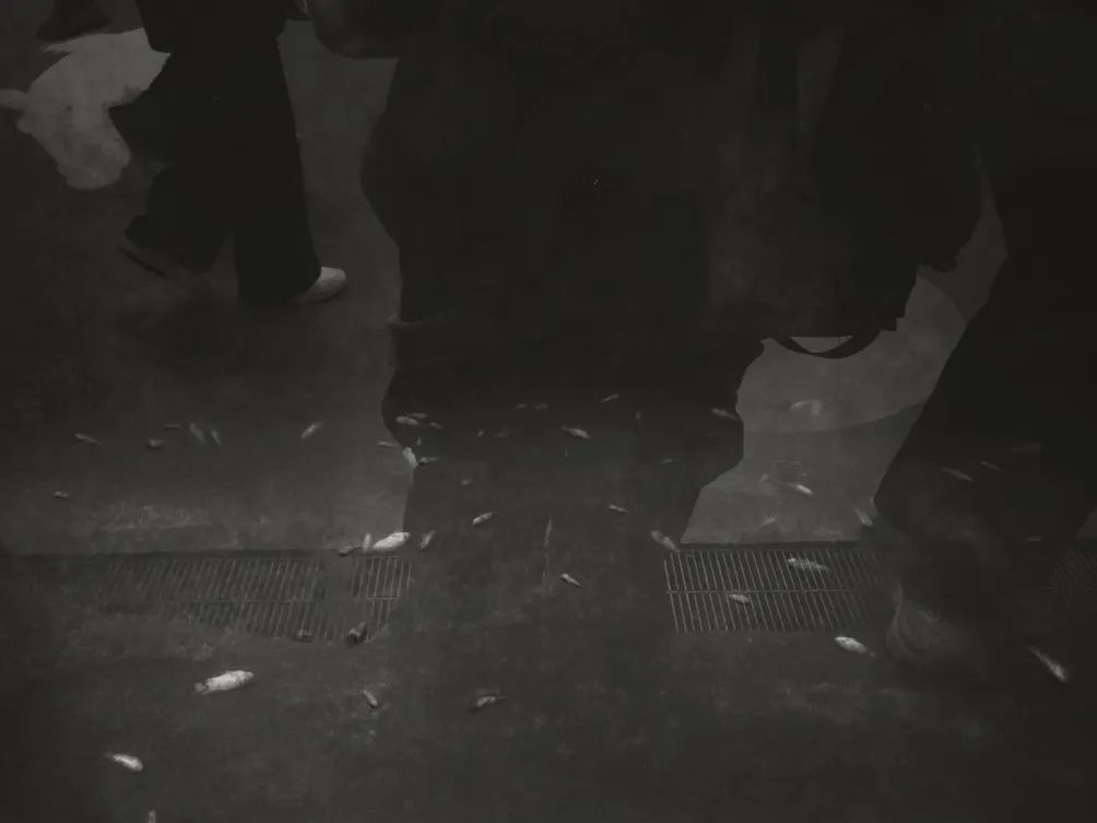 Tzu's 實名文字工作室