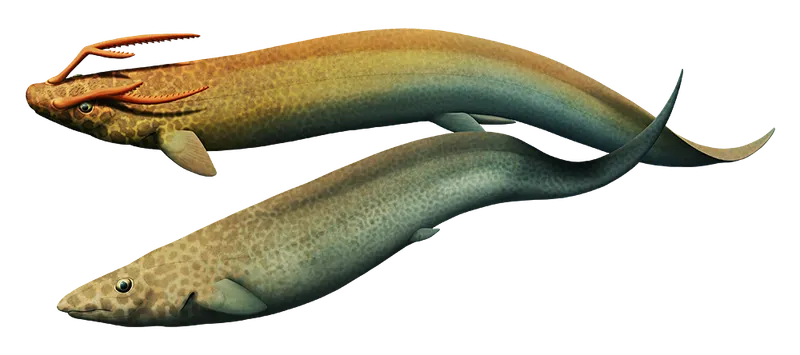 src