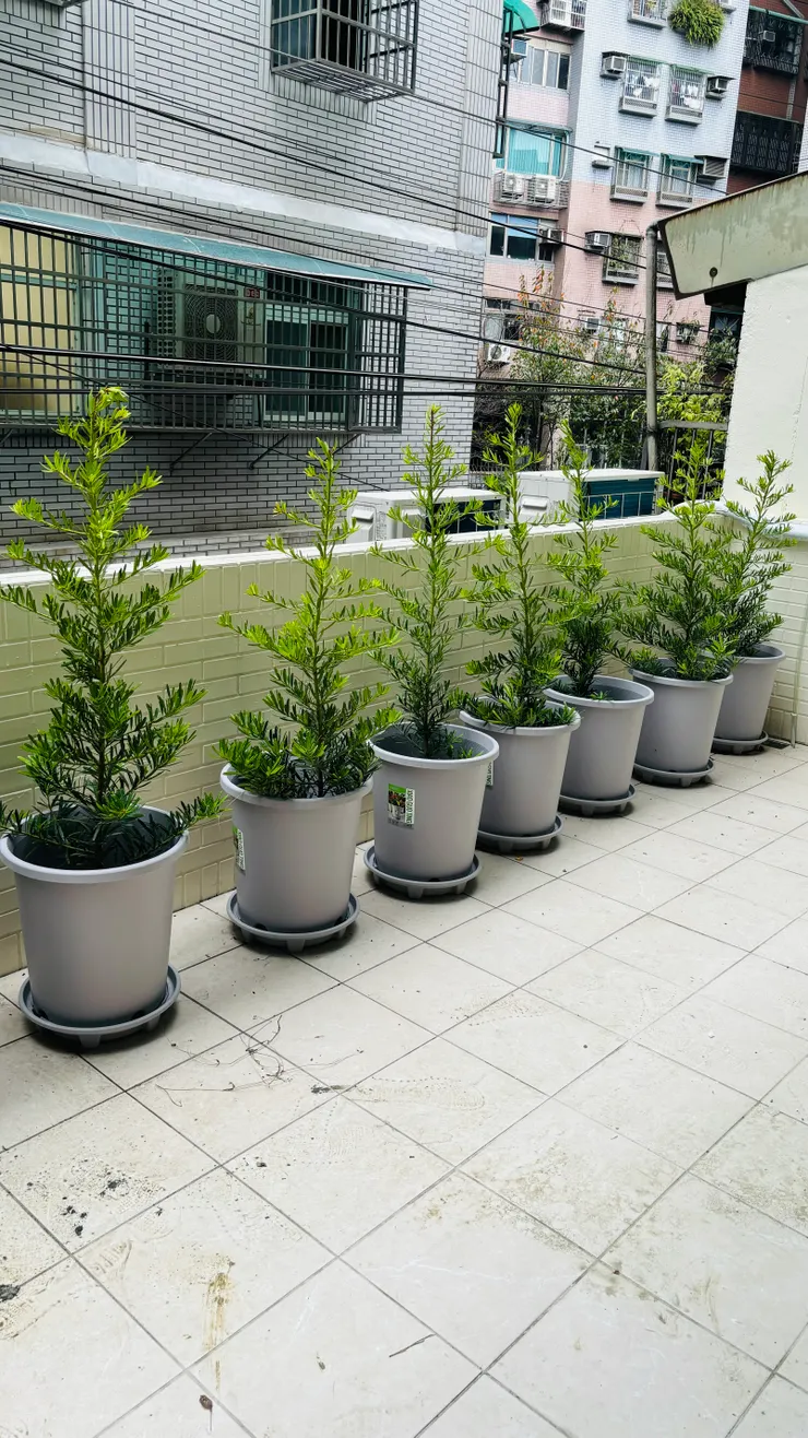 我最喜歡的地方,陽台真的很美