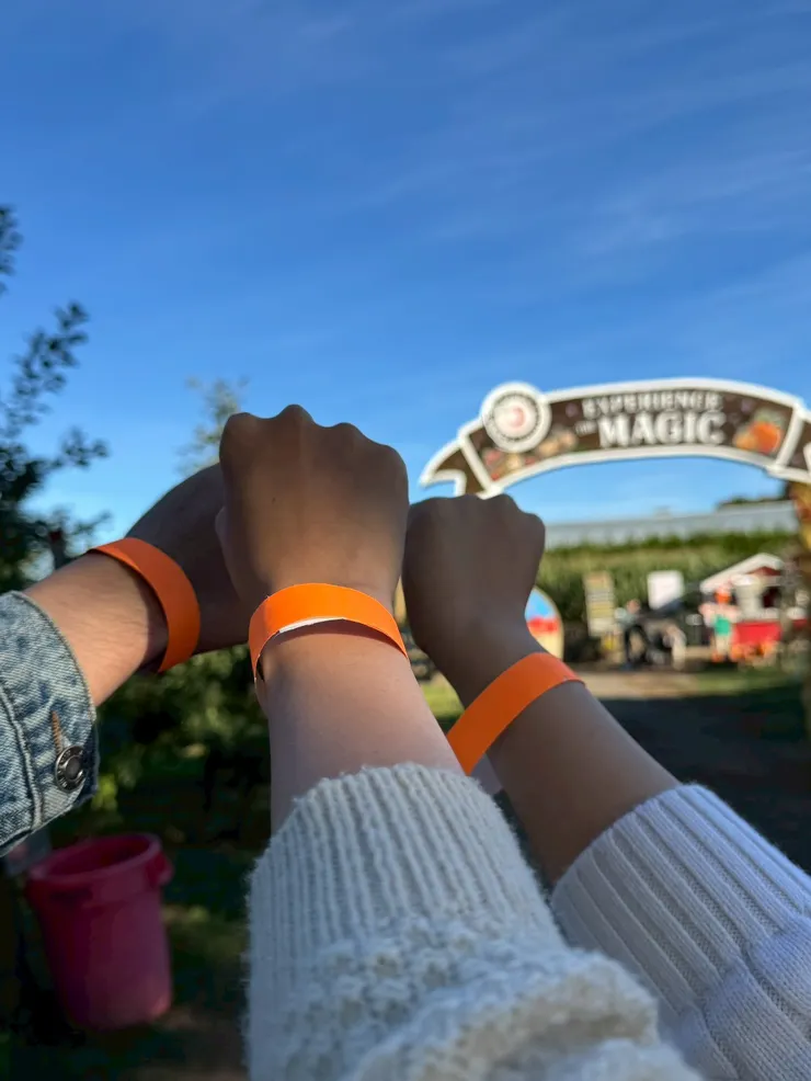 買完樂園套票後會有手環，進入每隔展區要亮手環進場