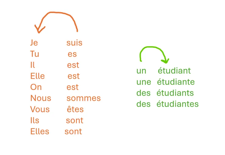 為了便於理解，我這邊在étudiant之前加上不定冠詞，好讓大家知道不定冠詞、形容詞會追隨名詞。但通常在描述職業的情況下是不需要加上不定冠詞的哦!!