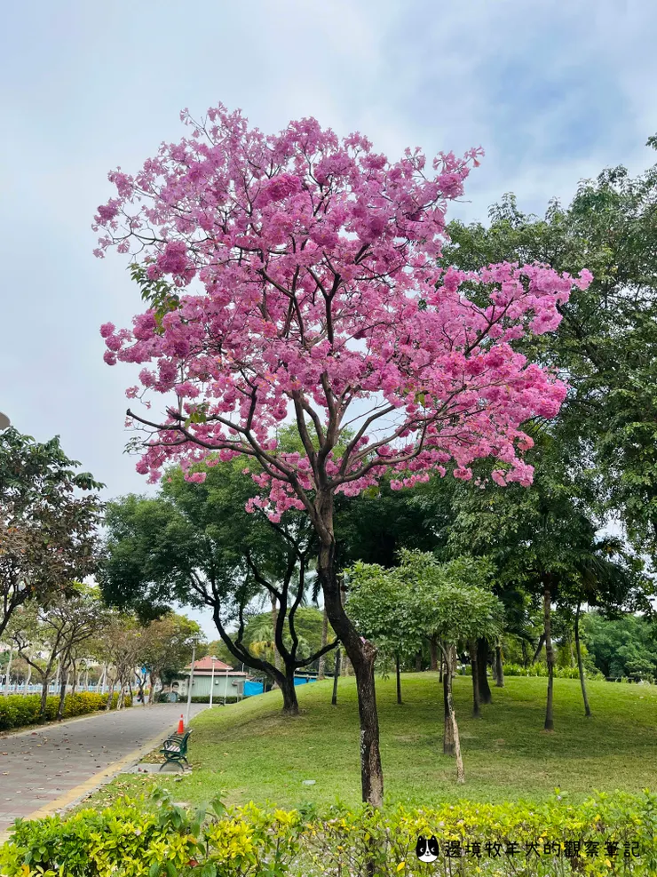 給自己設下界限，工作量剛剛好就好