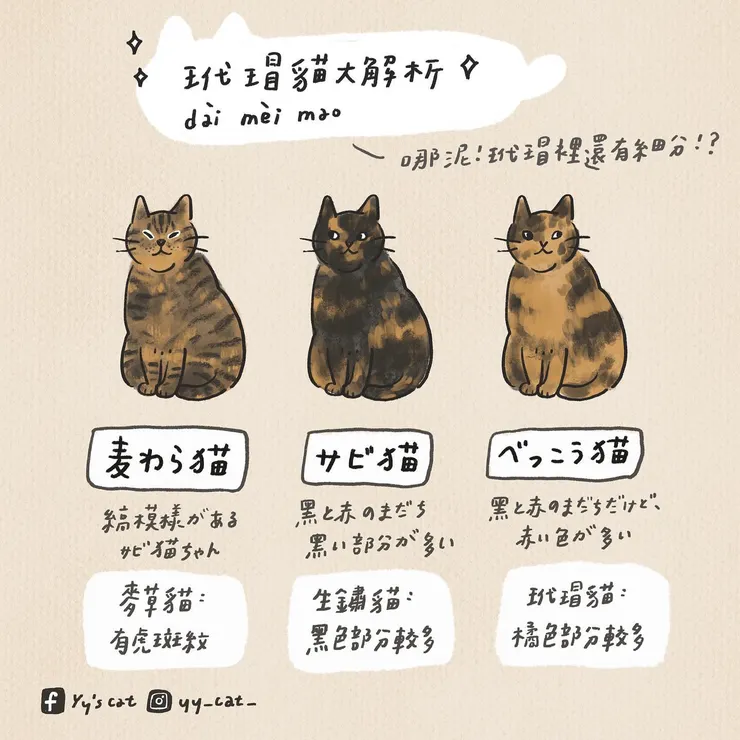 資料來源: https://www.facebook.com/profile.php?id=100064009931860