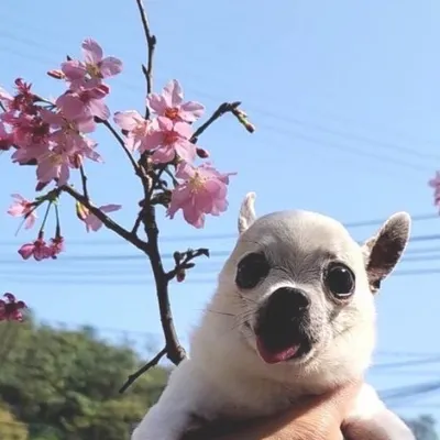 要切要辣要很辣🌶️的沙龍