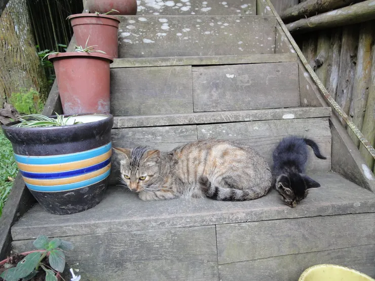 我們之間依然疏離