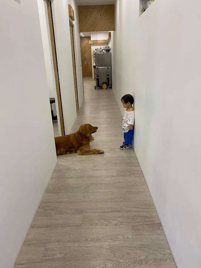 #雖然已經忘記當年的小小孩對著狗狗問了什麼 #但你相信這文章催生的源頭是他每天冒出來的可愛疑問嗎