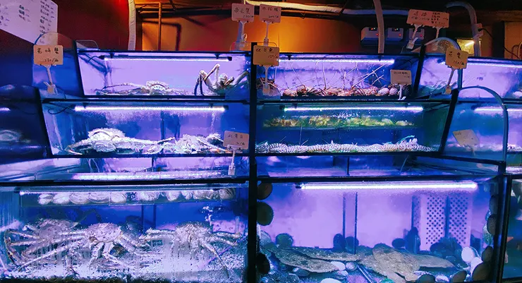 林口海鮮餐廳【拿靠生猛海鮮】媲美海港級料理，節慶聚會推薦餐廳